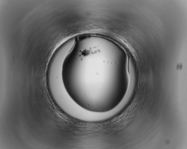 X0000098121316200805021147