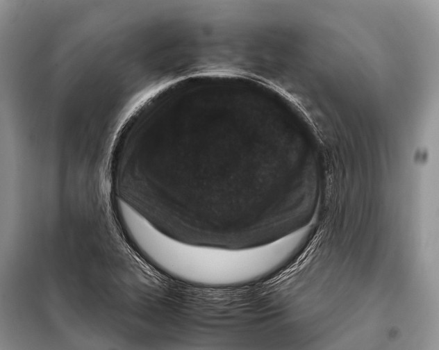 X0000098121319200805021147