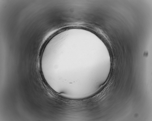 X0000098121320200805021147