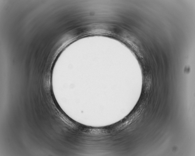 X0000098121322200805021147