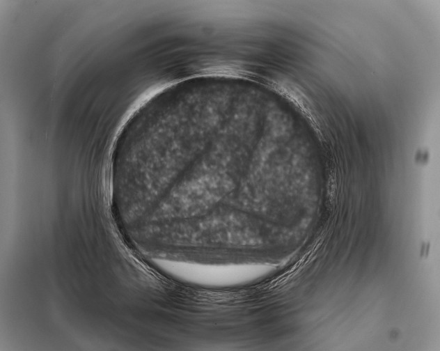X0000098121323200805021147