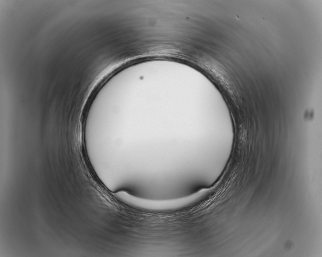 X0000098121324200805021147
