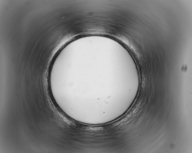 X0000098121325200805021147