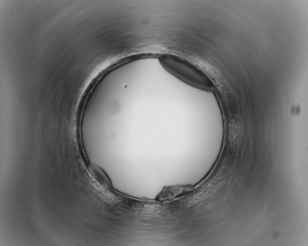 X0000098121326200805021147