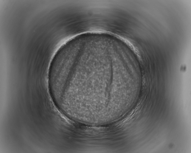X0000098121327200805021147