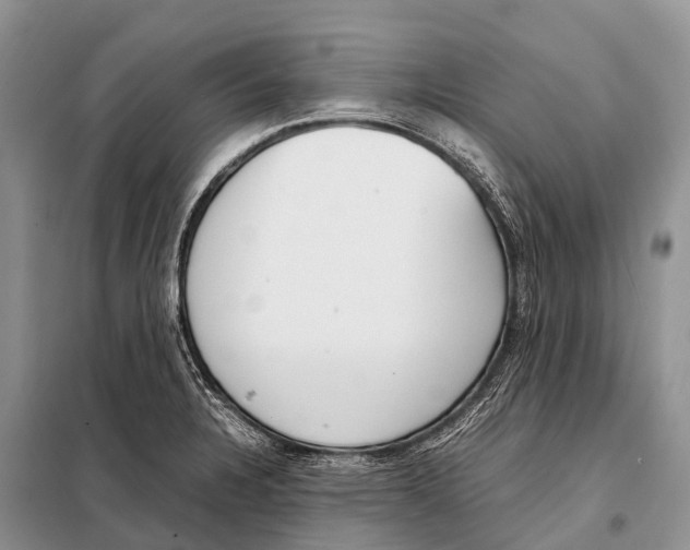 X0000098121328200805021147