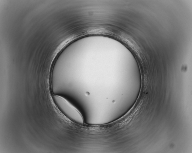 X0000098121330200805021147