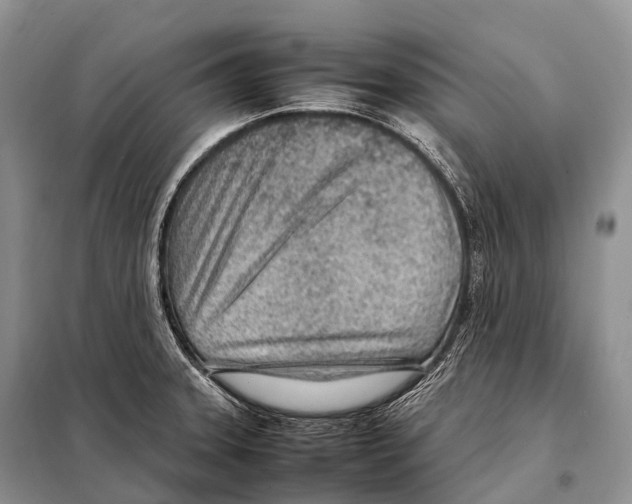 X0000098121331200805021147