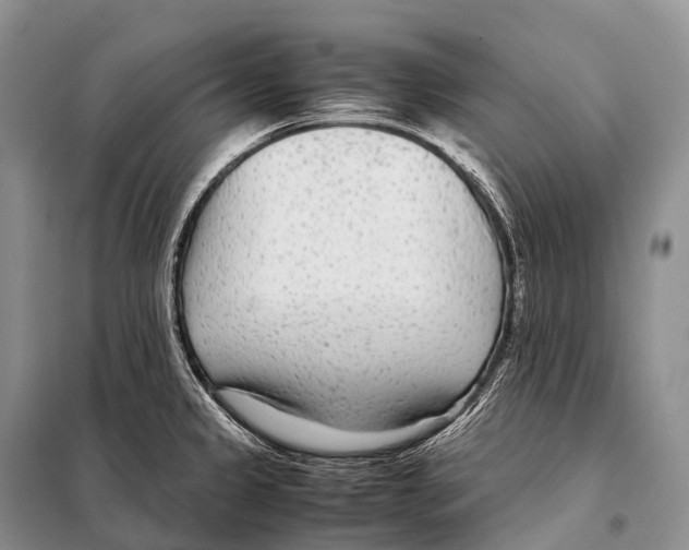 X0000098121333200805021147