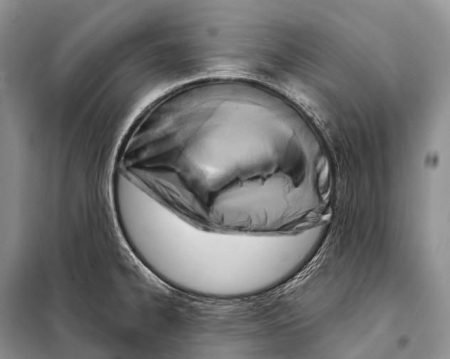 X0000098121334200805021147