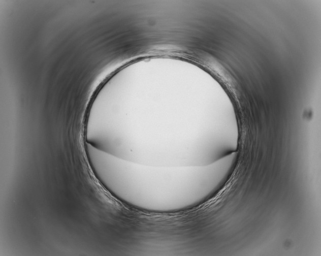 X0000098121336200805021147
