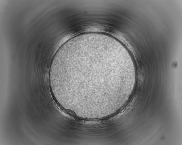 X0000098121337200805021147