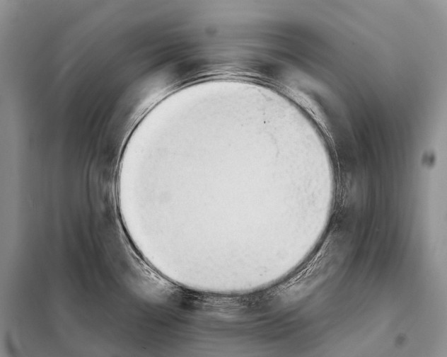 X0000098121338200805021147