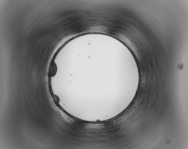 X0000098121339200805021147