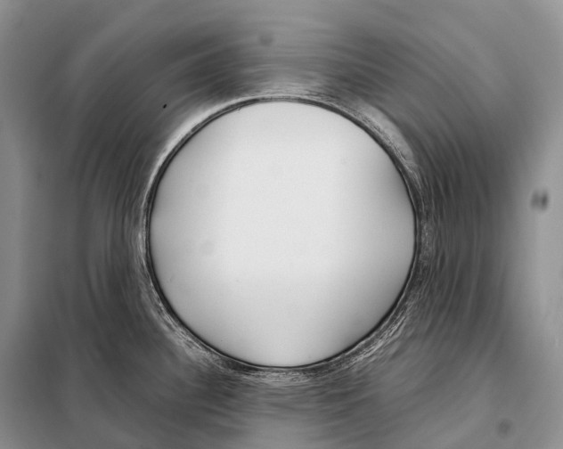 X0000098121340200805021147