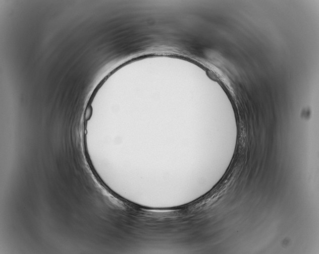 X0000098121343200805021147