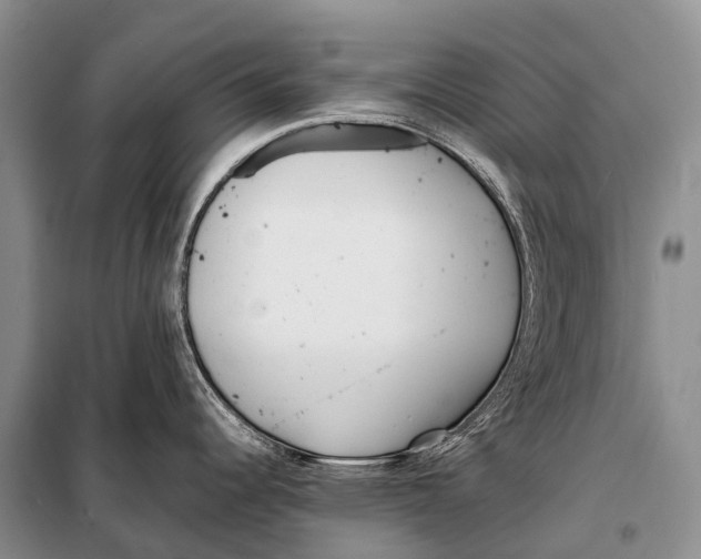 X0000098121344200805021147