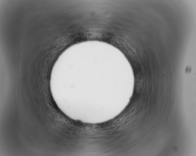 X0000098121345200805021147