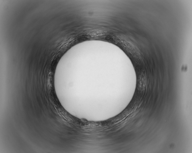 X0000098121346200805021147