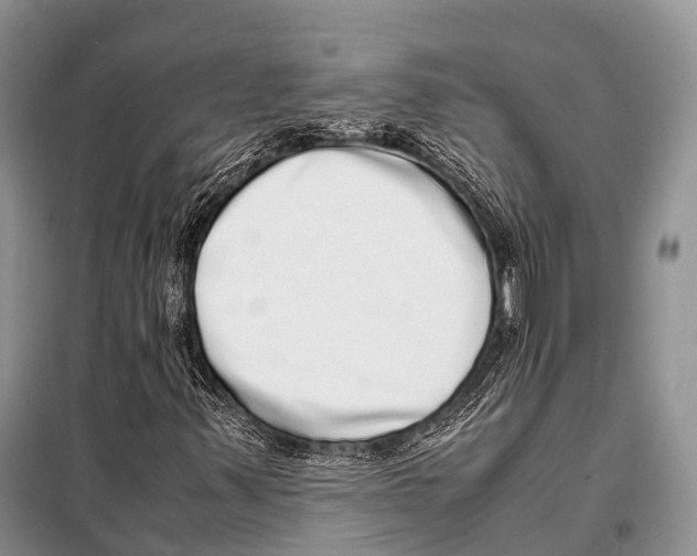 X0000098121347200805021146
