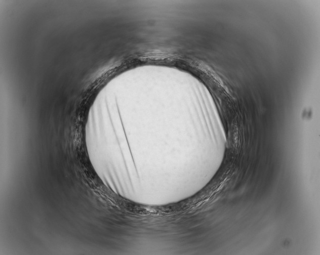 X0000098121350200805021146