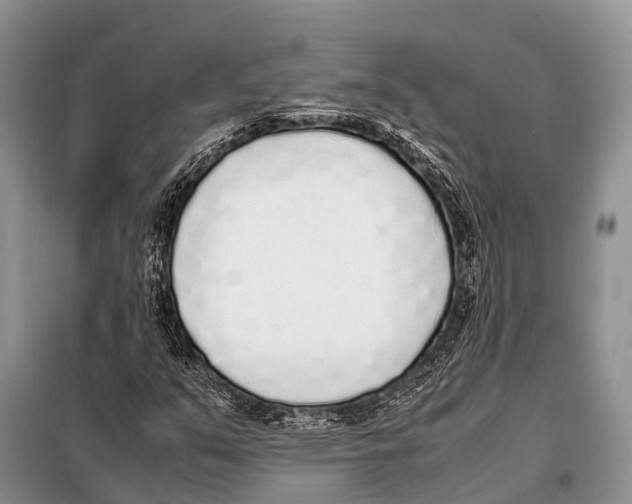 X0000098121351200805021146