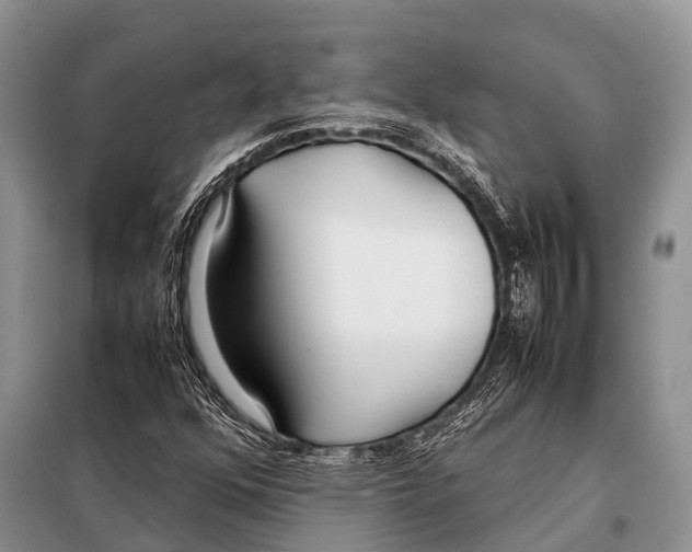 X0000098121352200805021146