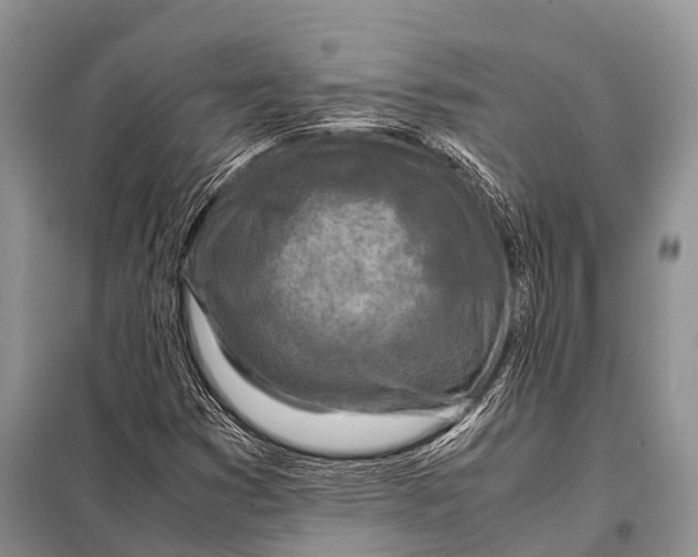 X0000098121353200805021146