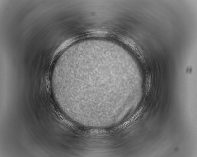X0000098121354200805021146