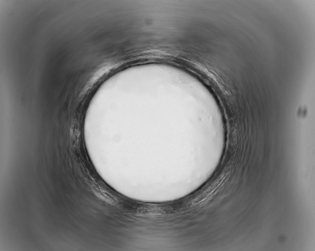 X0000098121355200805021146