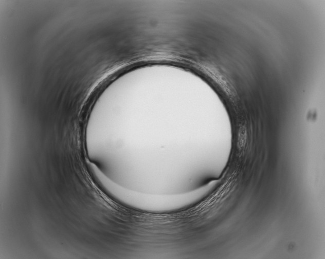 X0000098121356200805021146