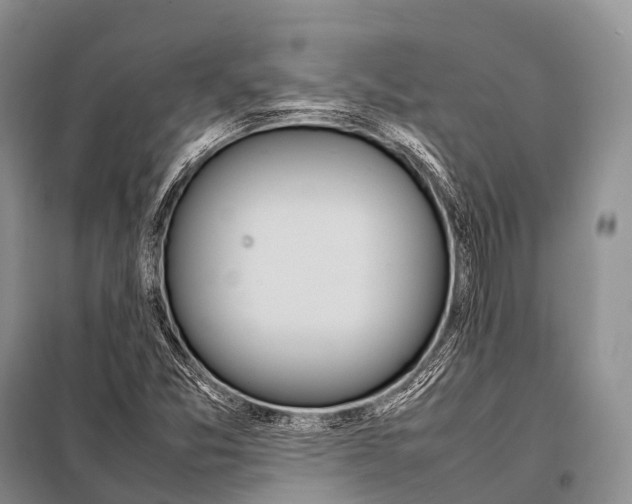 X0000098121357200805021146