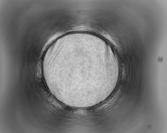 X0000098121358200805021146