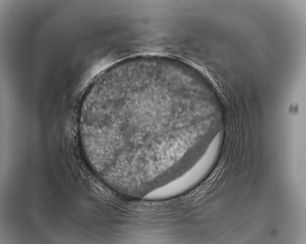 X0000098121359200805021146