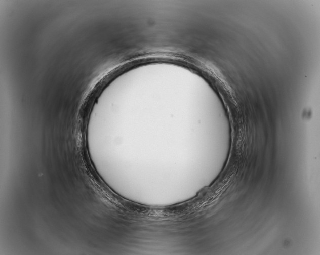 X0000098121360200805021146