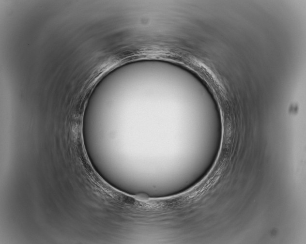 X0000098121361200805021146
