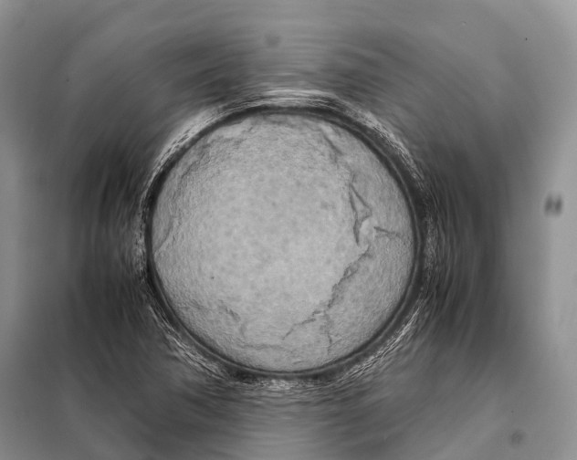 X0000098121362200805021146