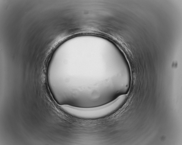 X0000098121363200805021146