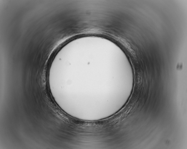 X0000098121364200805021146