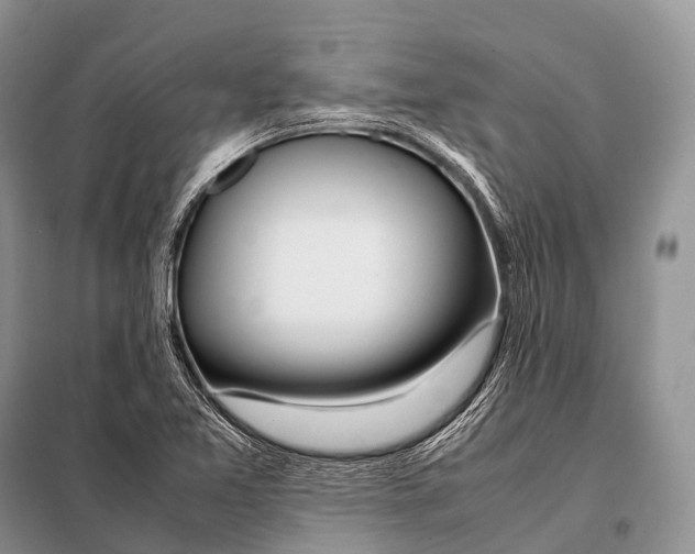 X0000098121365200805021146