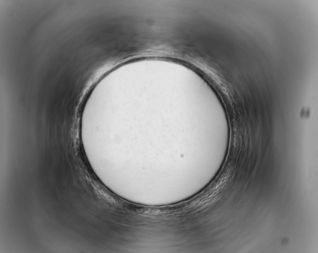 X0000098121366200805021146