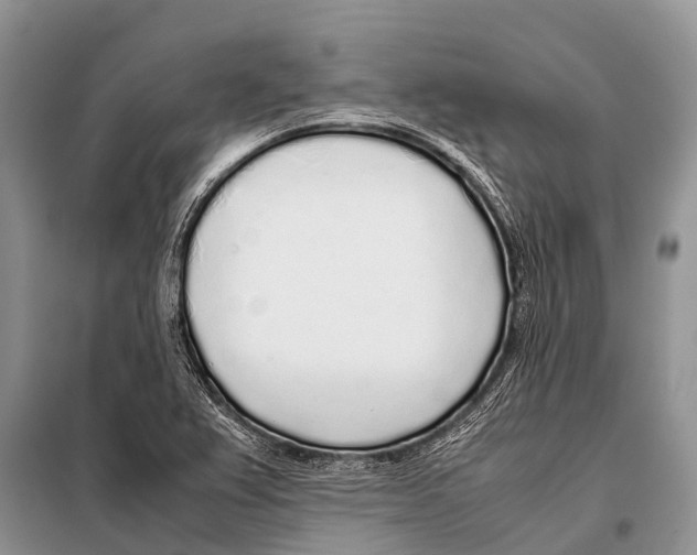 X0000098121367200805021146