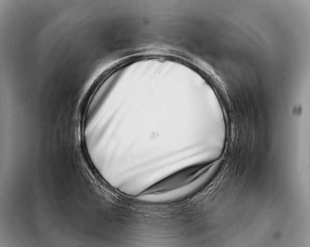 X0000098121368200805021146