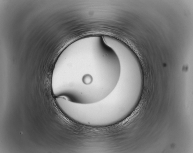 X0000098121369200805021146