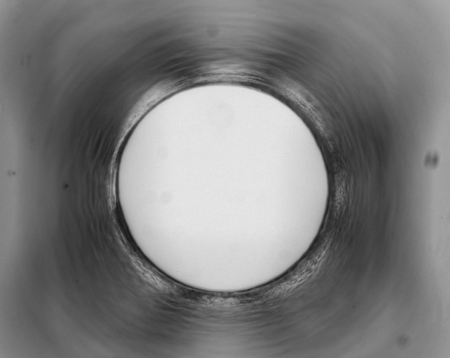 X0000098121370200805021146