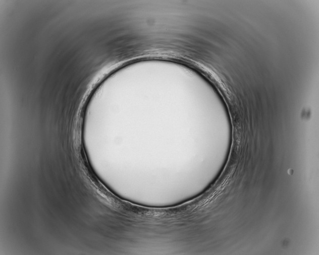 X0000098121371200805021146