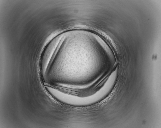 X0000098121373200805021146