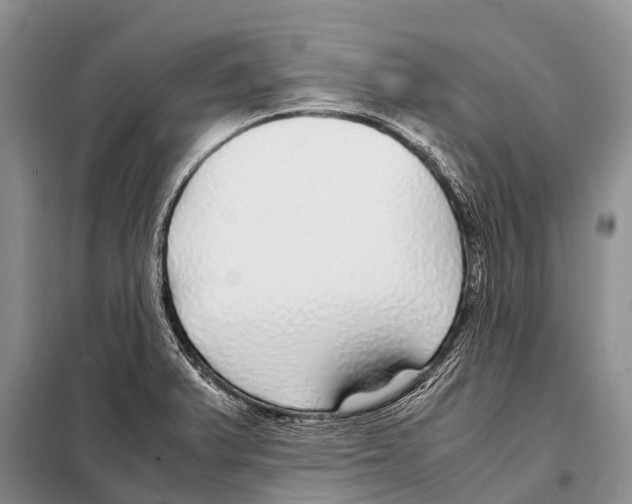 X0000098121375200805021146