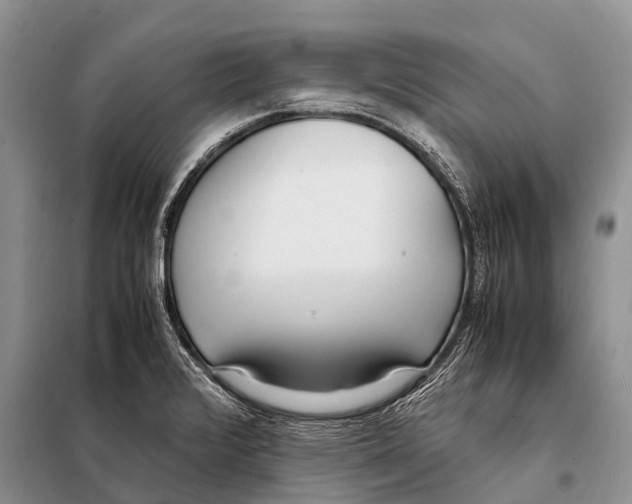 X0000098121376200805021146