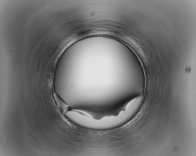 X0000098121377200805021146